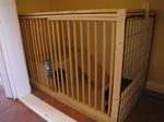 SX25710 DIY Rabbit Hutch.jpg